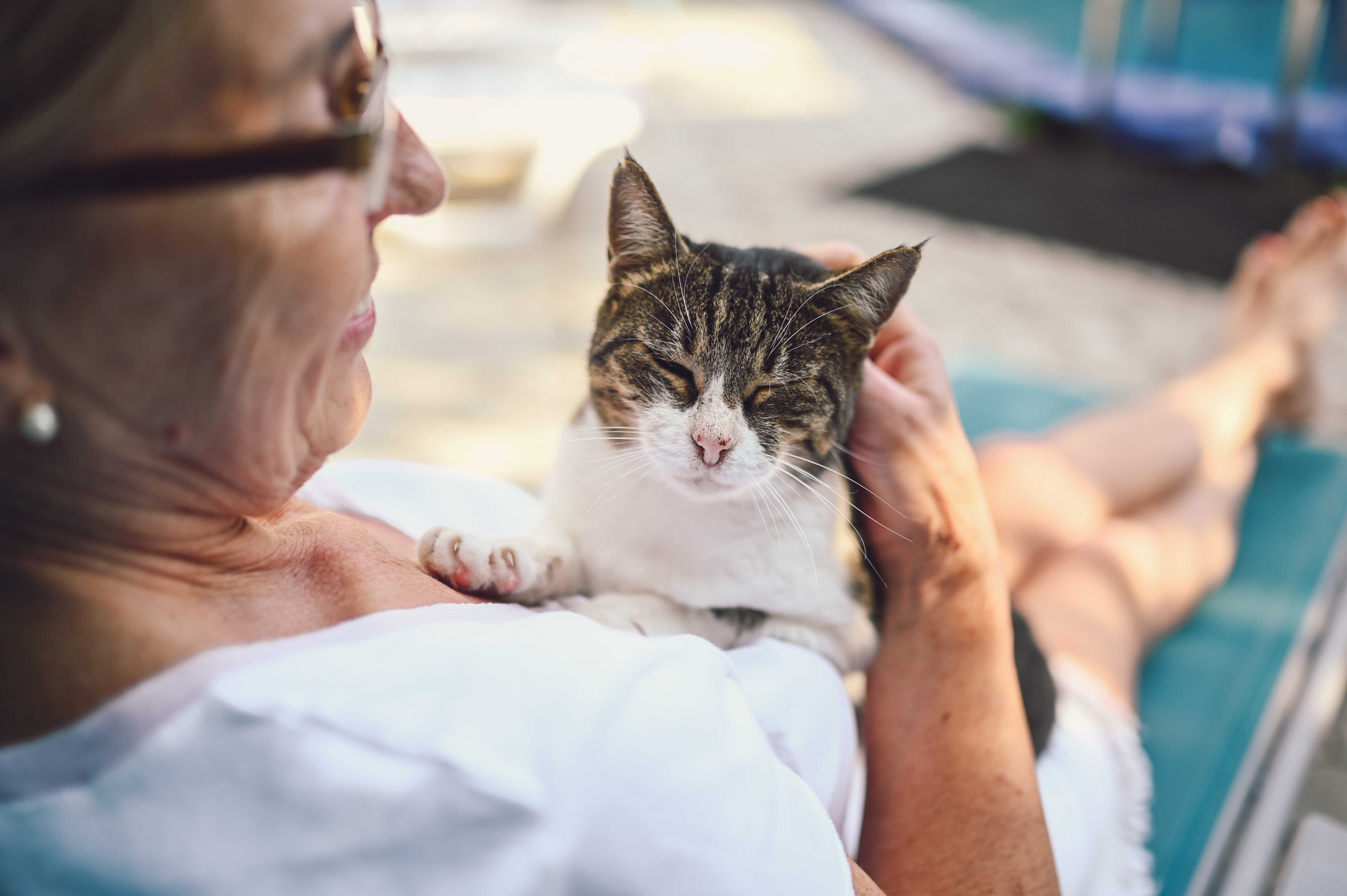 Best Pets for Seniors in Assisted Living