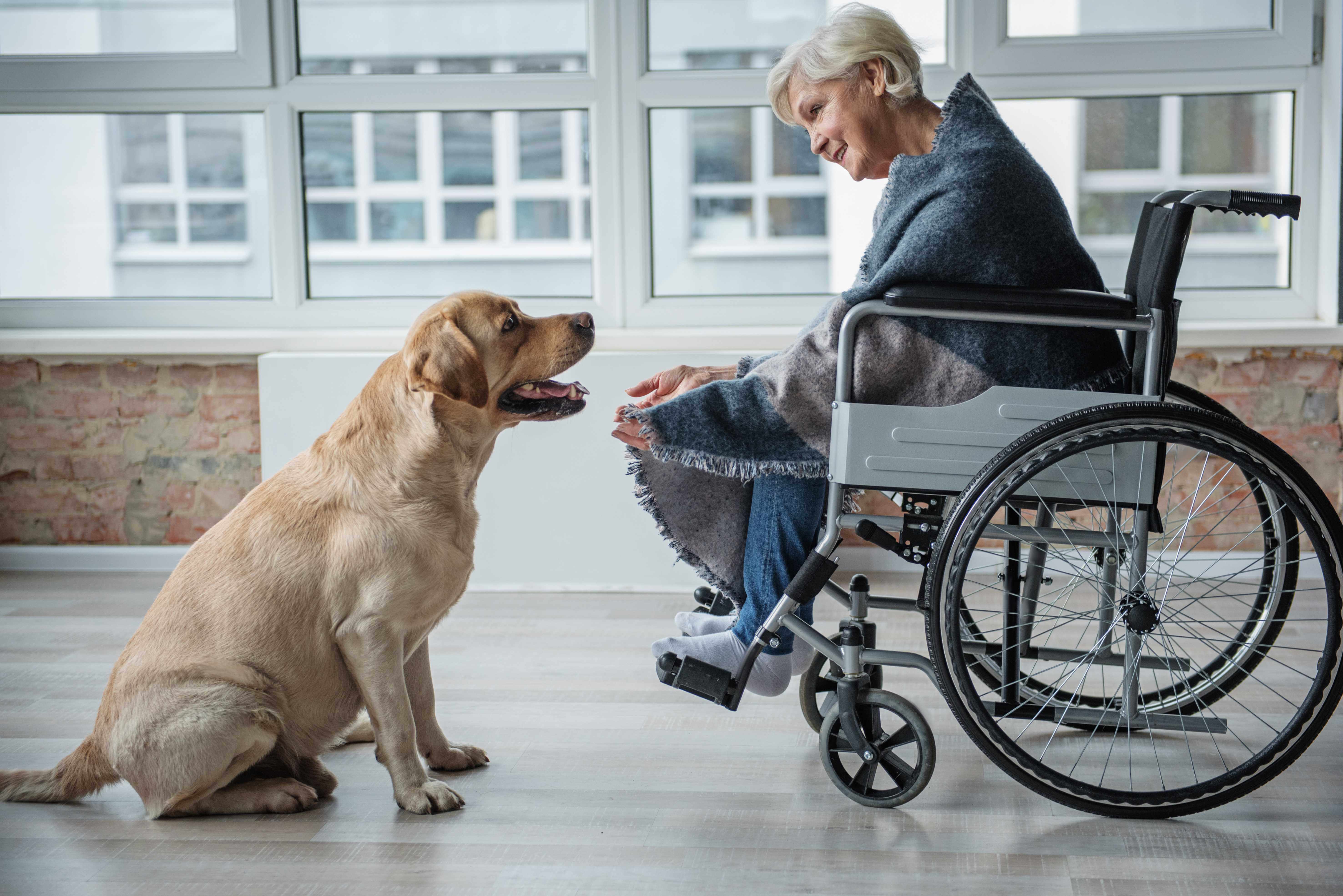 Cognitive Benefits of Pets for Seniors